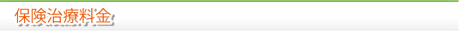 保険治療料金