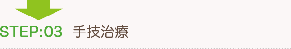 3.手技治療