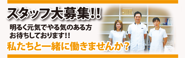 スタッフ大募集